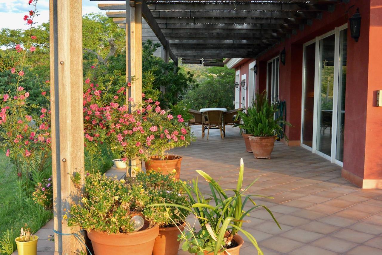 Ferienwohnung L'Albaida, Tranquility, Views Of Sea And Mountains Vilanova de Escornalbou Exterior foto