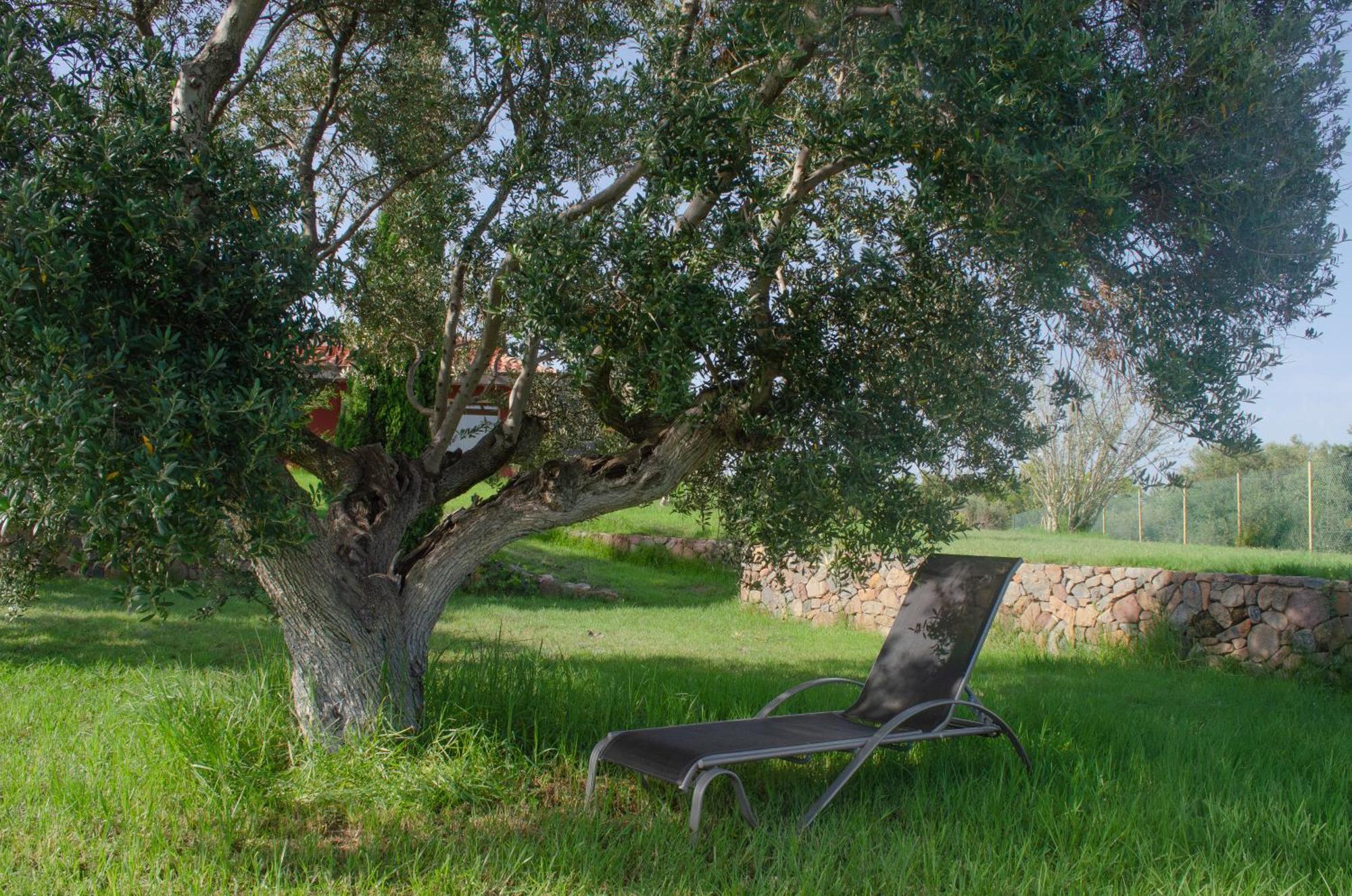 Ferienwohnung L'Albaida, Tranquility, Views Of Sea And Mountains Vilanova de Escornalbou Exterior foto